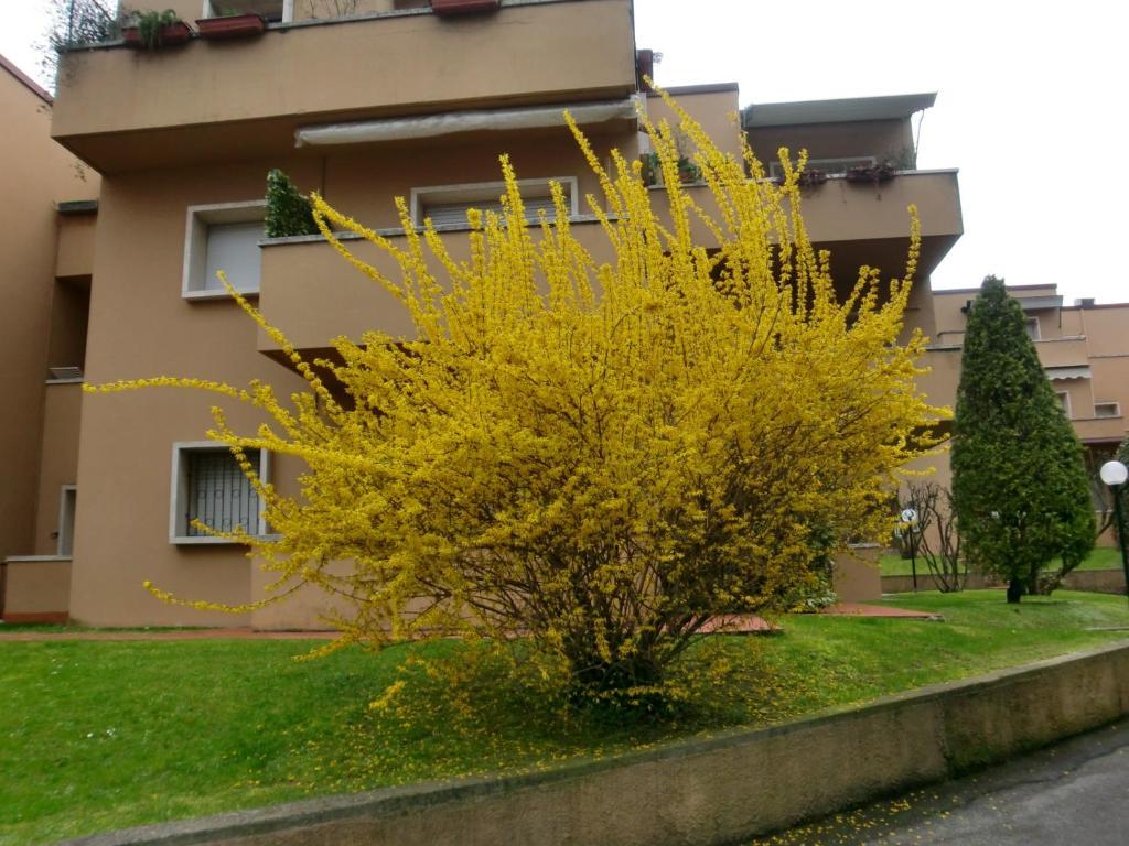 Residence La Madonnina Peschiera del Garda Extérieur photo